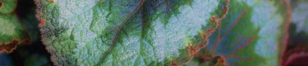 A Message from Jennifer Porter Law